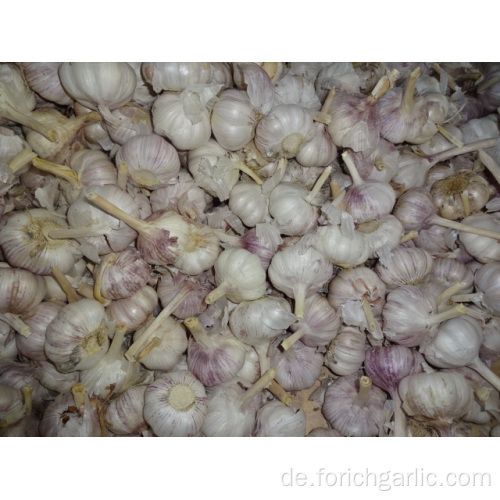 Jinxiang geläufige weiße Knoblauch-neue Ernte